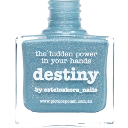 DESTINY Picture Polish